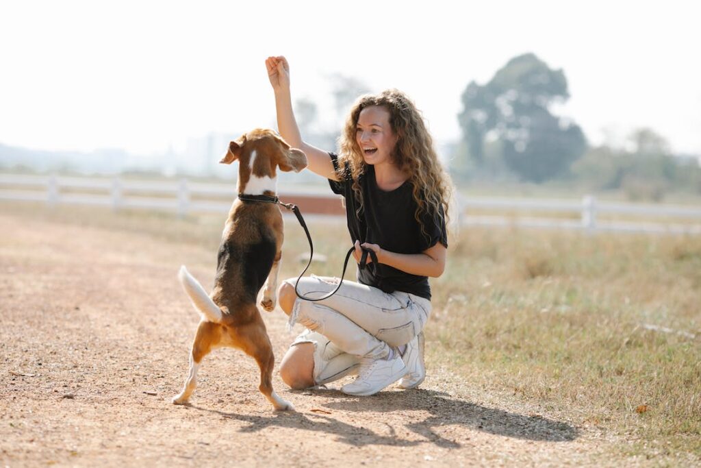 9 Vital Questions to Ask Before Embarking on Dog Obedience Training
